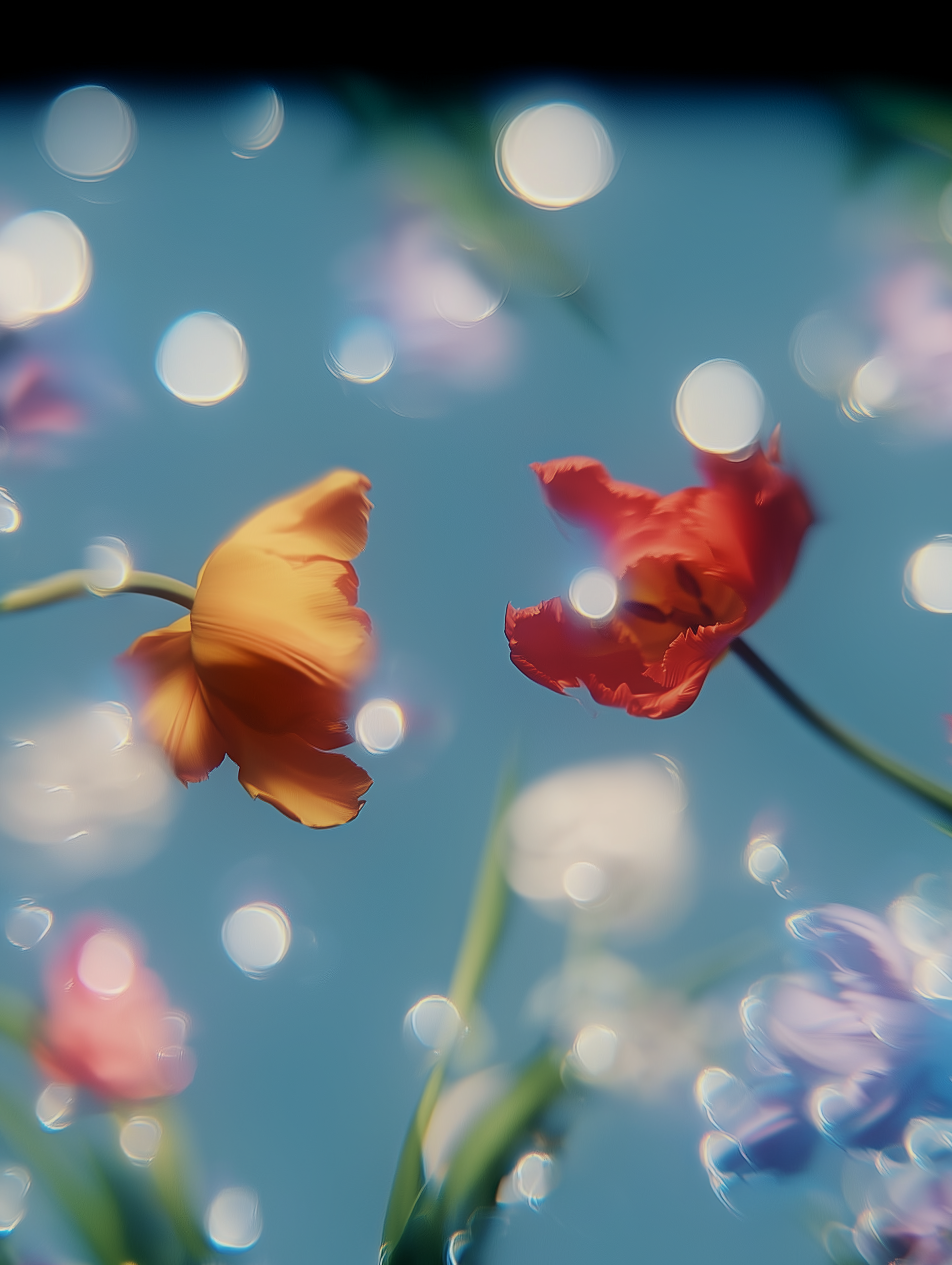 Reminds Me Of The Rain