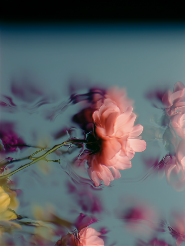 Days Go By