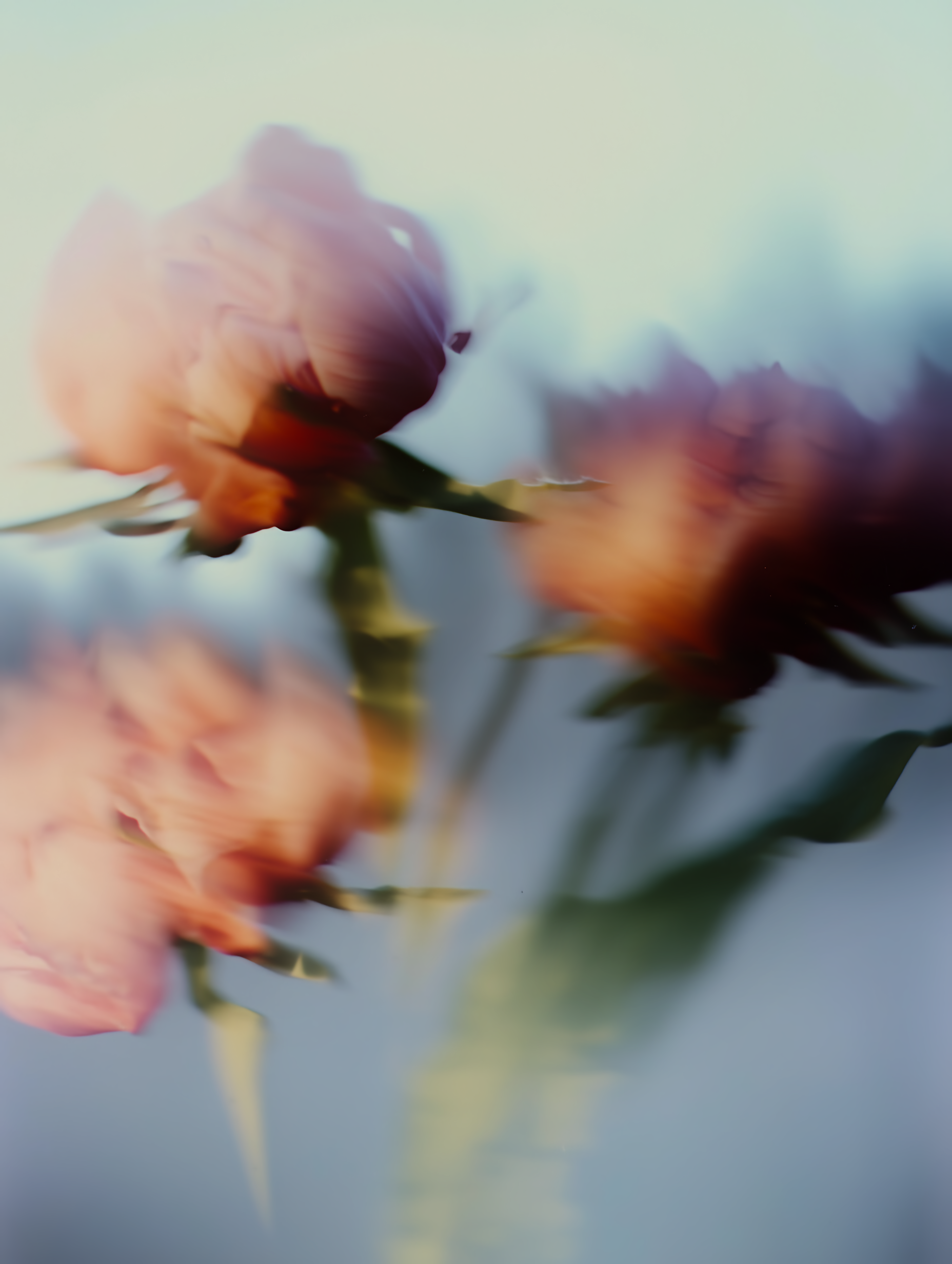 Is It Light Where You Are