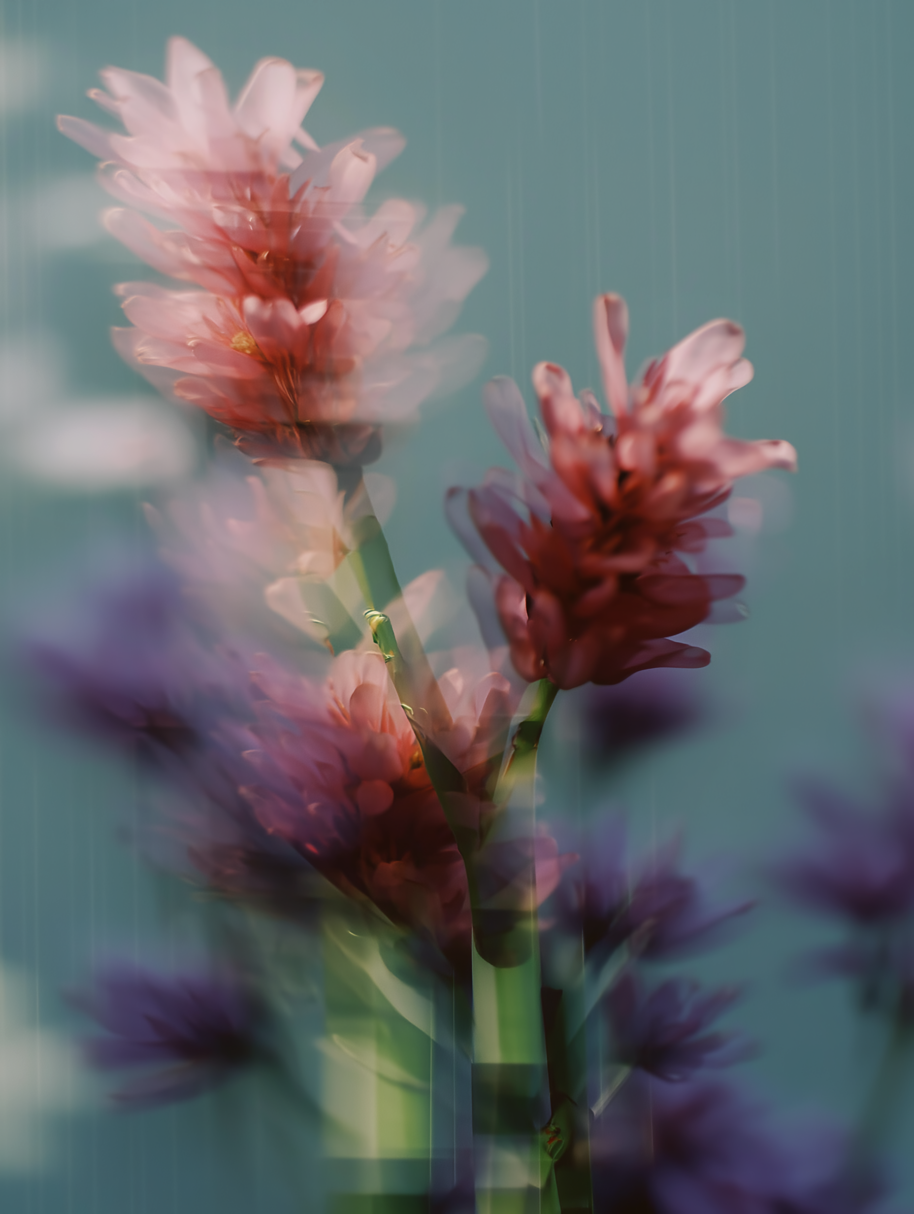 If Found, Please Return