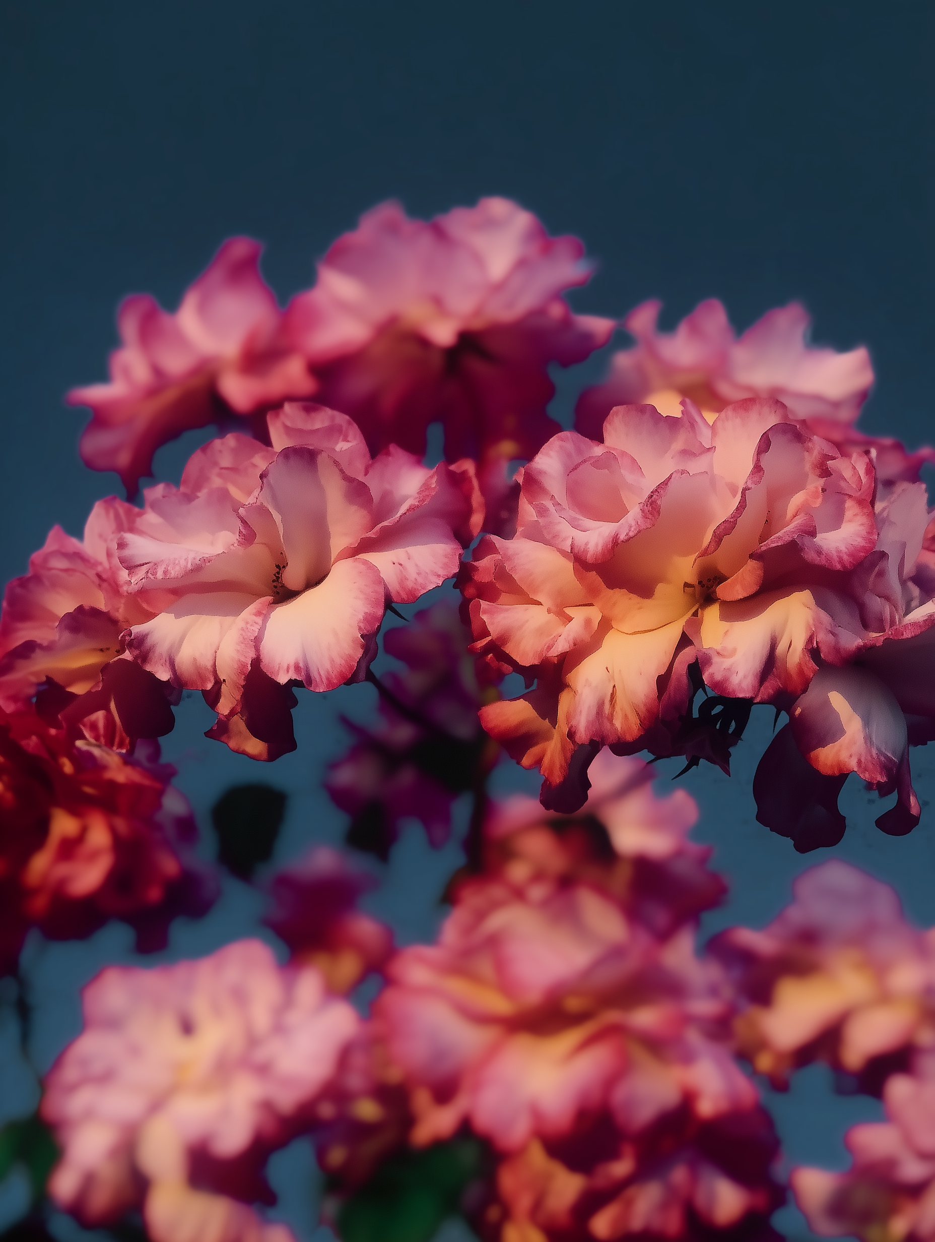 This Thing Was Bound To Happen