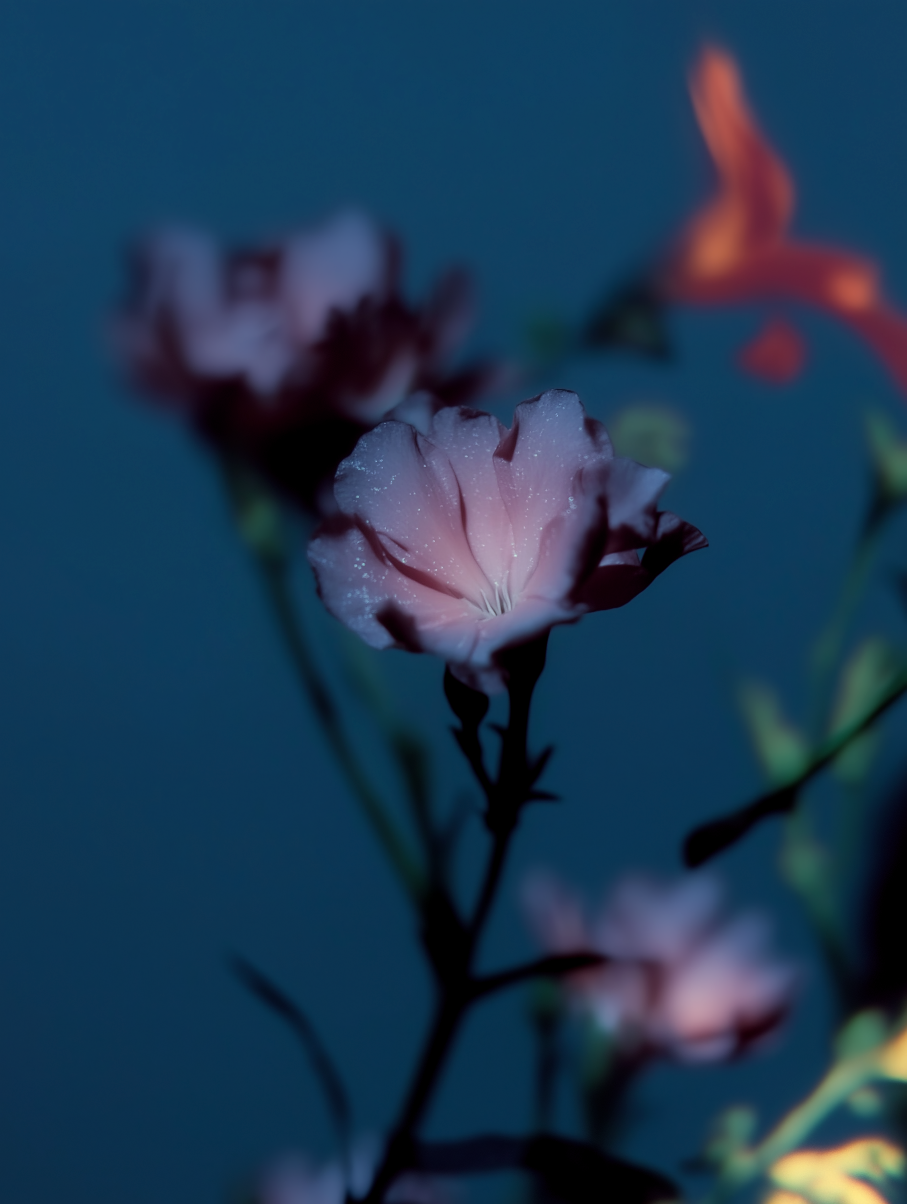 Collapsing Outside Your Doorstep