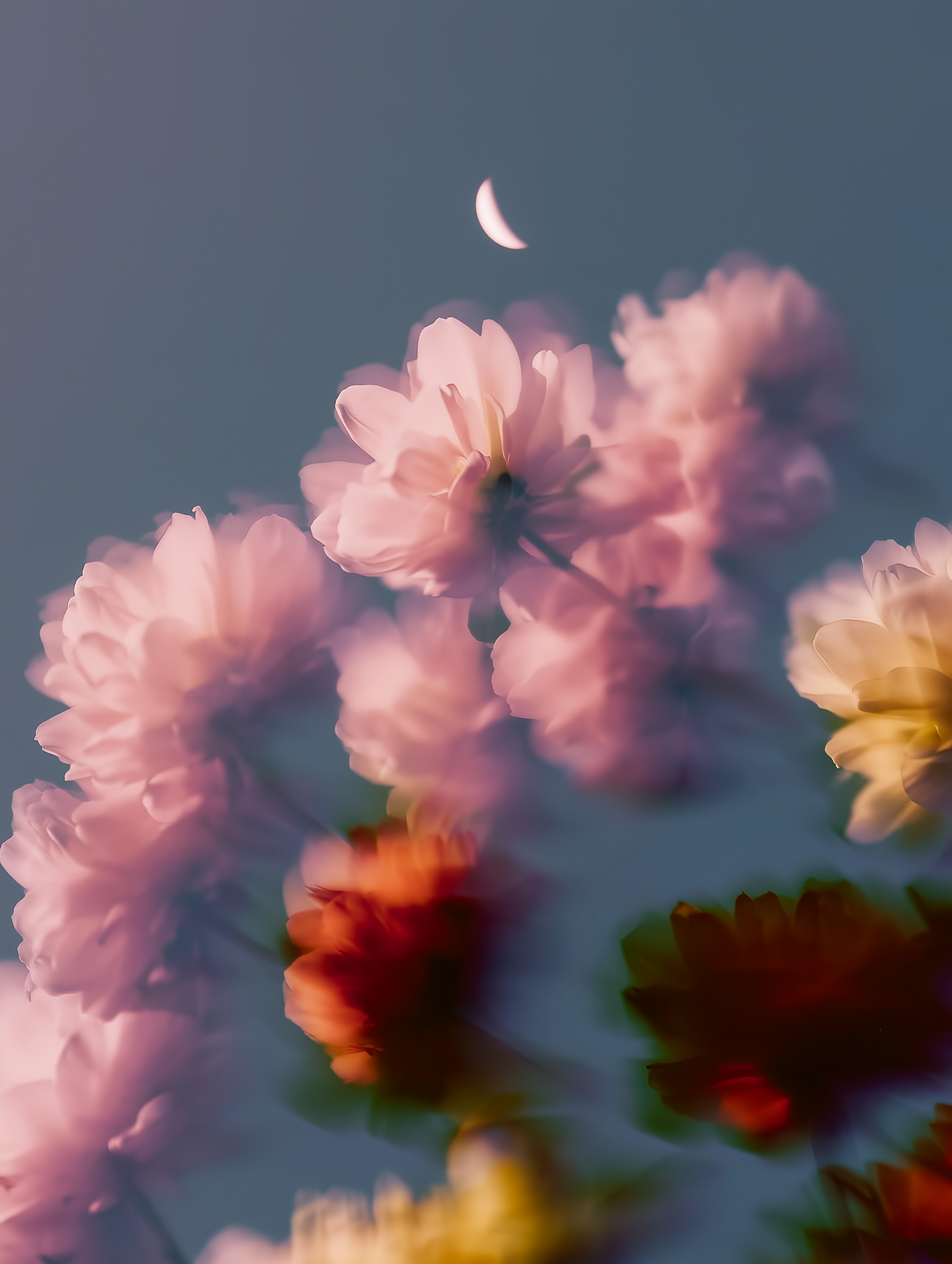 Crestfallen