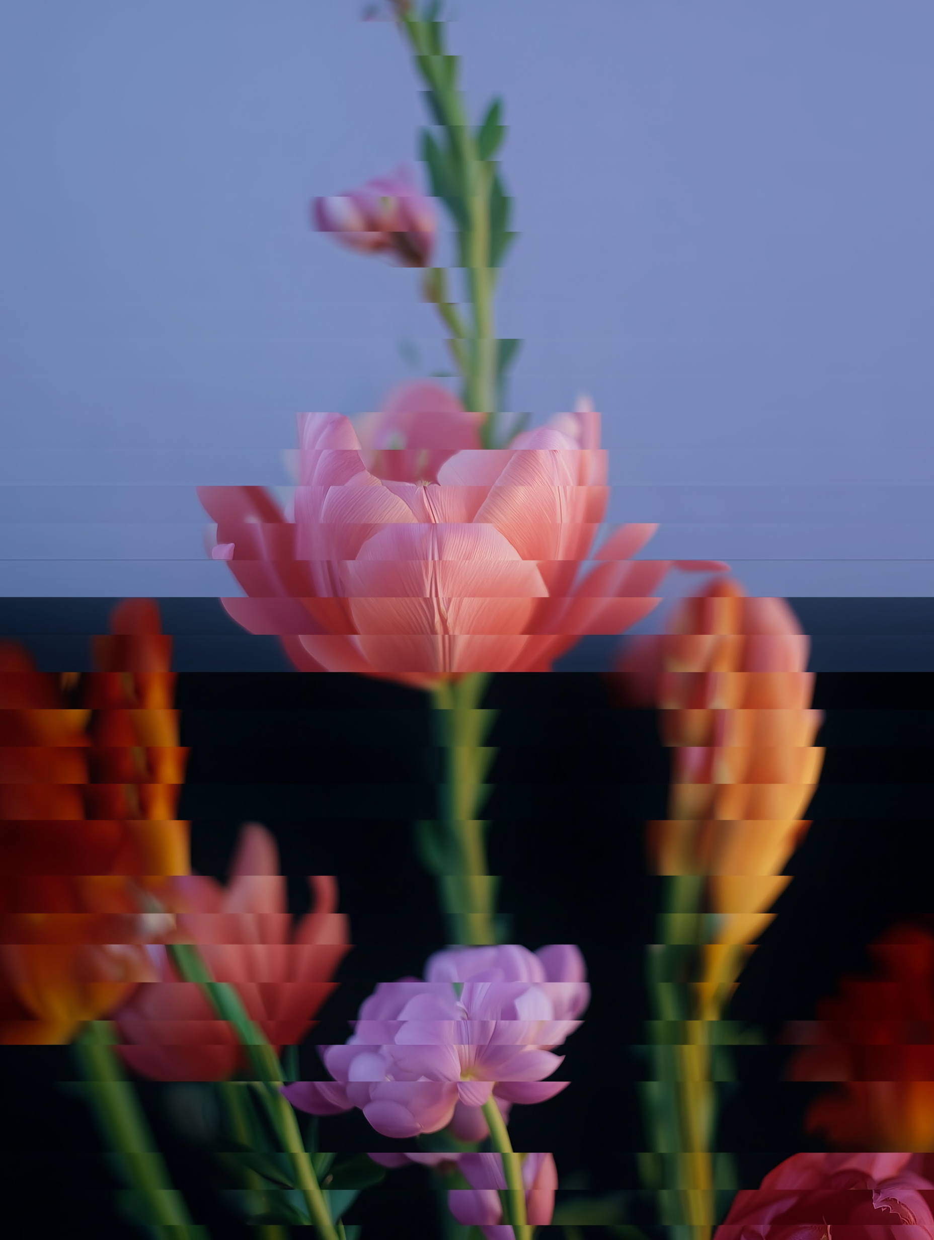 I Can't Sense You Anymore