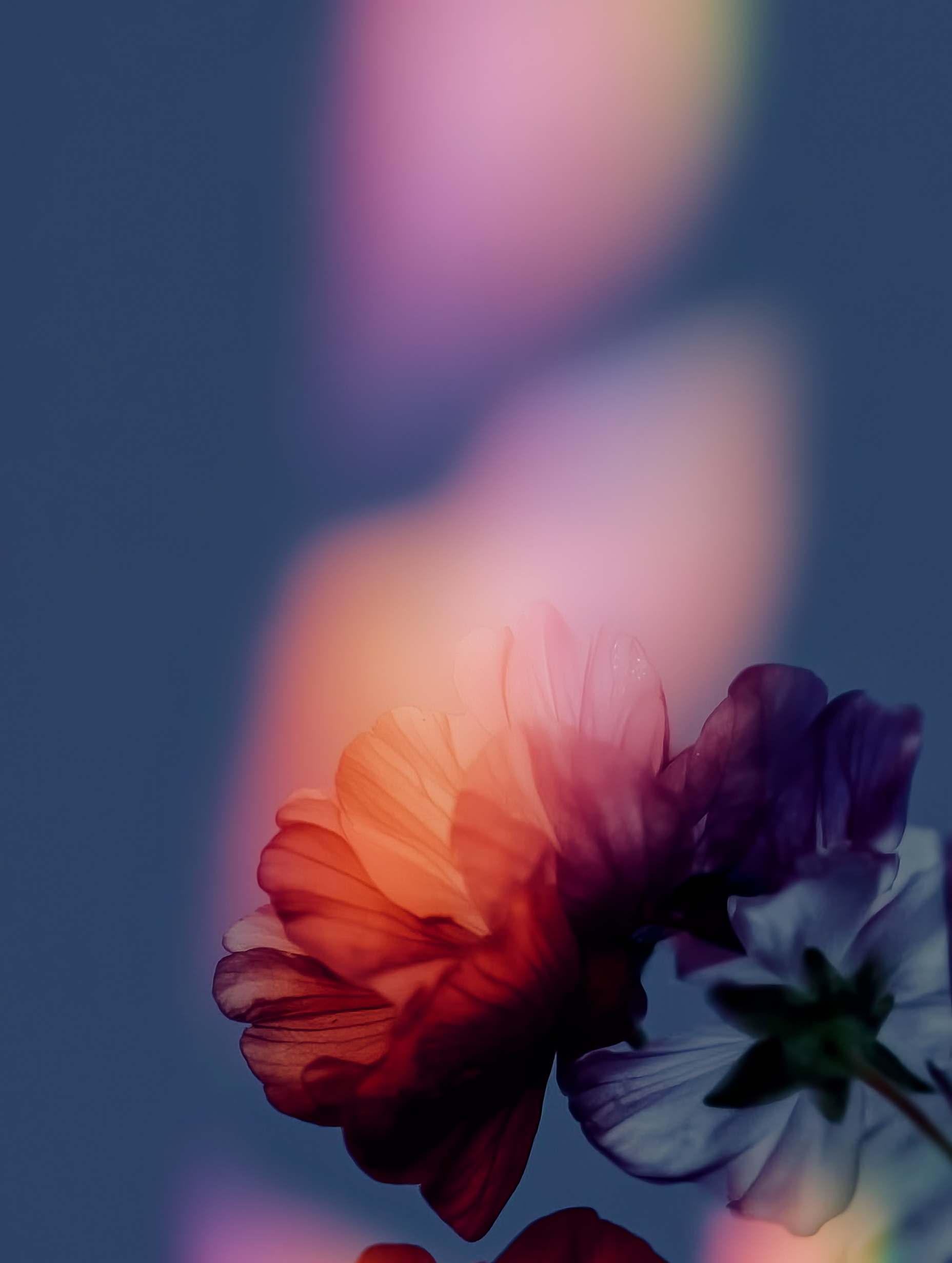 Teardrops Through Colors